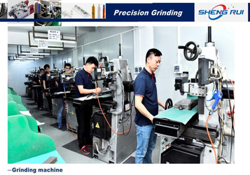 Dongguan Sheng Rui Precision Mould Co., Ltd.